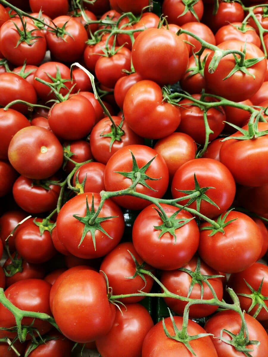 Tomates grappe catégorie 1