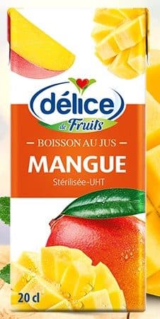 Jus de mangue Délice format brique 20cl